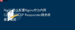 Nginx怎么配置Nginx作为内网CA时的OCSP Responder服务搭建与集成