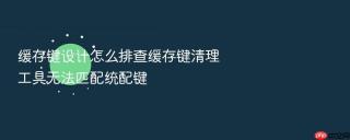 缓存键设计怎么排查缓存键清理工具无法匹配统配键
