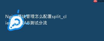 Nginx模块管理怎么配置split_clients实现AB测试分流