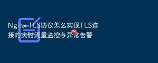Nginx TLS协议怎么实现TLS连接的实时流量监控与异常告警