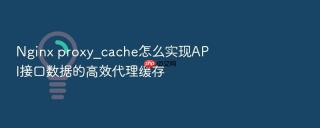 Nginx proxy_cache怎么实现API接口数据的高效代理缓存