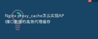 nginx proxy_cache怎么实现api接口数据的高效代理缓存