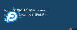 nginx文件描述符缓存`open_file_cache`排查:文件更新后未及时生效