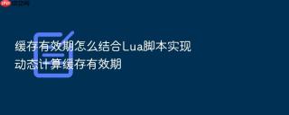缓存有效期怎么结合lua脚本实现动态计算缓存有效期