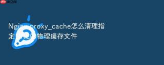Nginx proxy_cache怎么清理指定URL的物理缓存文件