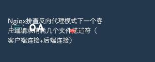 Nginx排查反向代理模式下一个客户端请求消耗几个文件描述符（客户端连接+后端连接）