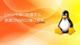 linux中端口检查怎么排查dns的53端口异常