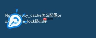 Nginx proxy_cache怎么配置proxy_cache_lock防击穿
