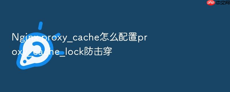 nginx proxy_cache怎么配置proxy_cache_lock防击穿