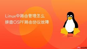 linux中路由管理怎么排查ospf路由协议故障