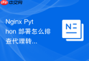 nginx python 部署怎么排查代理转发中的编码与乱码问题