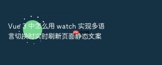 Vue 3 中怎么用 watch 实现多语言切换时实时刷新页面静态文案