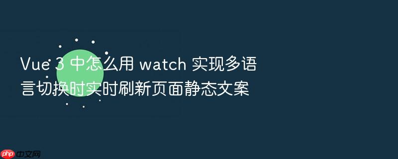 vue 3 中怎么用 watch 实现多语言切换时实时刷新页面静态文案