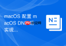 macOS 配置 macOS DNS 后实现广告拦截与过滤