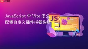 javascript 中 vite 怎么配置自定义插件拦截构建