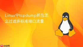 Linux中tcpdump抓包怎么过滤非标准端口流量