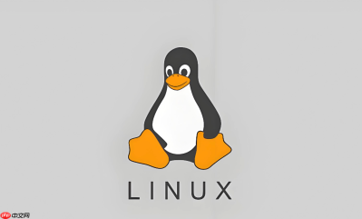 linux 运维中怎么查看当前系统中所有挂载点与文件系统类型 (df -h / mount)