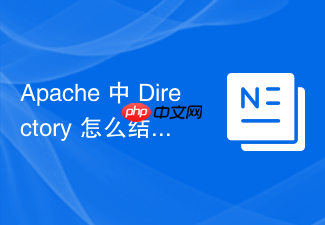 apache 中 directory 怎么结合 order 和 deny 语法限制 ip 访问