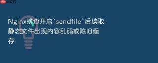 Nginx排查开启`sendfile`后读取静态文件出现内容乱码或陈旧缓存