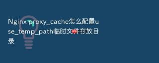 Nginx proxy_cache怎么配置use_temp_path临时文件存放目录