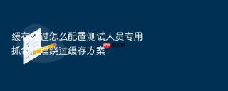 缓存绕过怎么配置测试人员专用抓包代理绕过缓存方案
