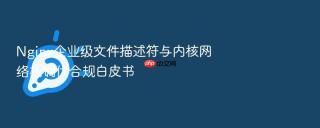 nginx企业级文件描述符与内核网络栈调优合规白皮书
