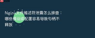 nginx文件描述符泄露怎么排查:哪些模块或配置容易导致句柄不释放