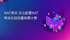 NAT网关 怎么配置NAT网关实现流量按需计费