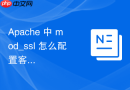 Apache 中 mod_ssl 怎么配置客户端证书校验