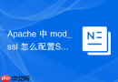 Apache 中 mod_ssl 怎么配置SSLHonorCipherOrder