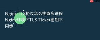 nginx tls协议怎么排查多进程nginx环境下tls ticket密钥不同步