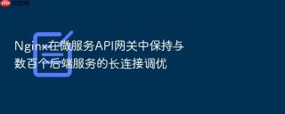 Nginx在微服务API网关中保持与数百个后端服务的长连接调优