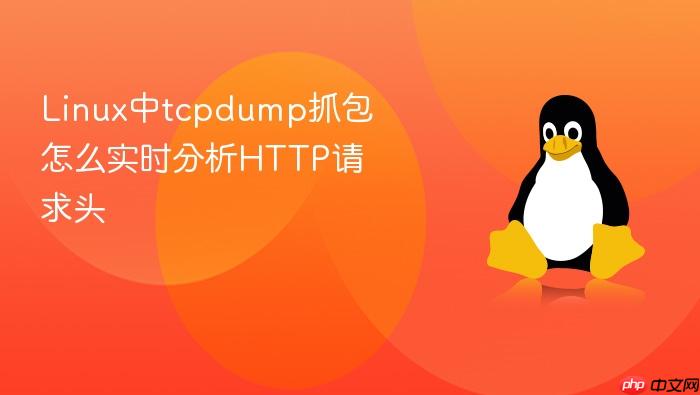 linux中tcpdump抓包怎么实时分析http请求头