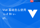 Vue 基础怎么使用 v-if 和 v-show 条件渲染指令控制元素的显示与隐藏