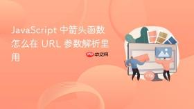 javascript 中箭头函数怎么在 url 参数解析里用