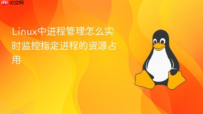 linux中进程管理怎么实时监控指定进程的资源占用