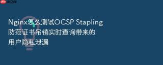 nginx怎么测试ocsp stapling防范证书吊销实时查询带来的用户隐私泄漏