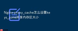 nginx proxy_cache怎么设置keys_zone共享内存区大小