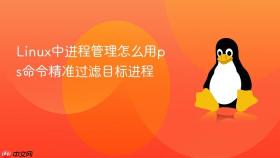 Linux中进程管理怎么用ps命令精准过滤目标进程