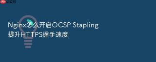 Nginx怎么开启OCSP Stapling提升HTTPS握手速度