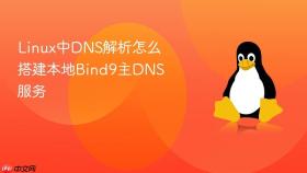 Linux中DNS解析怎么搭建本地Bind9主DNS服务