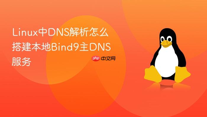 linux中dns解析怎么搭建本地bind9主dns服务