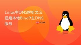 linux中dns解析怎么搭建本地bind9主dns服务