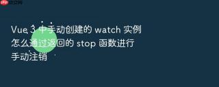 Vue 3 中手动创建的 watch 实例怎么通过返回的 stop 函数进行手动注销