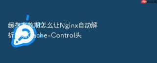 缓存有效期怎么让Nginx自动解析后端Cache-Control头