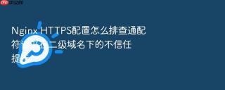 nginx https配置怎么排查通配符证书在二级域名下的不信任提示