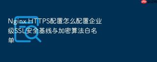 Nginx HTTPS配置怎么配置企业级SSL安全基线与加密算法白名单