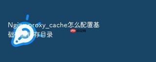 nginx proxy_cache怎么配置基础磁盘缓存目录