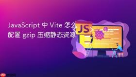 javascript 中 vite 怎么配置 gzip 压缩静态资源