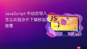 javascript 中动态导入怎么实现分片下载校验库按需